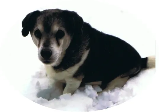 Condolence image of Erich