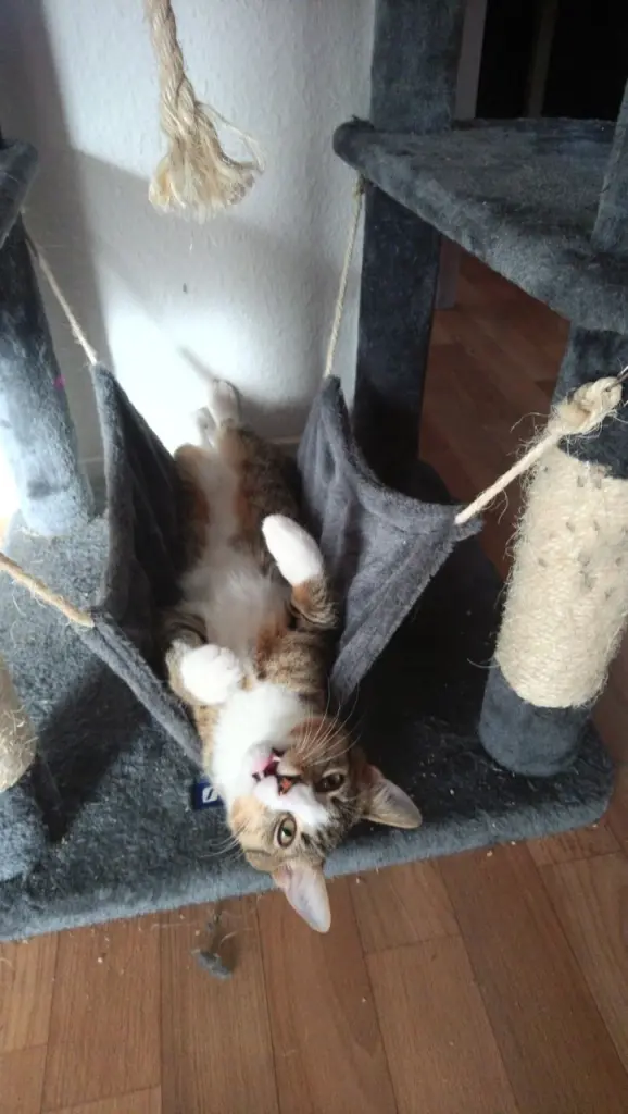 Bild von Illidan