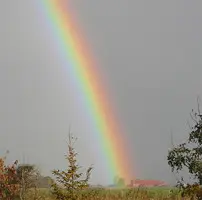 Image from Sternchen