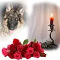 Condolence image of ❤️❤️❤️