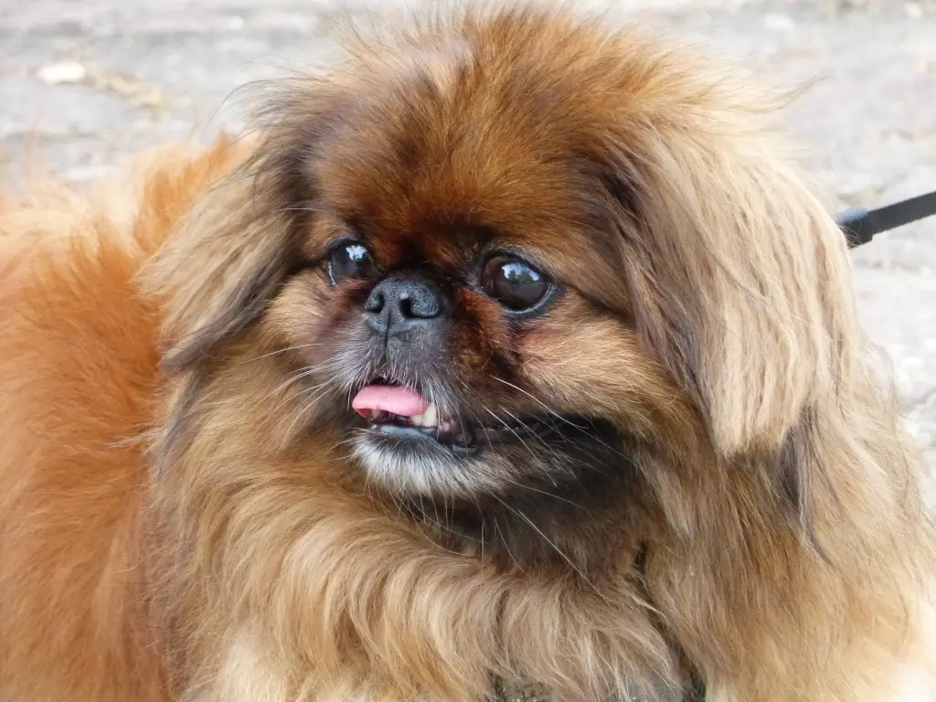 Andachtsbild von Marion Linden