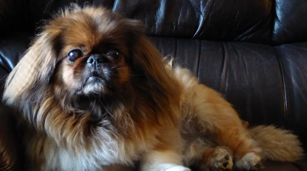 Andachtsbild von Marion Linden