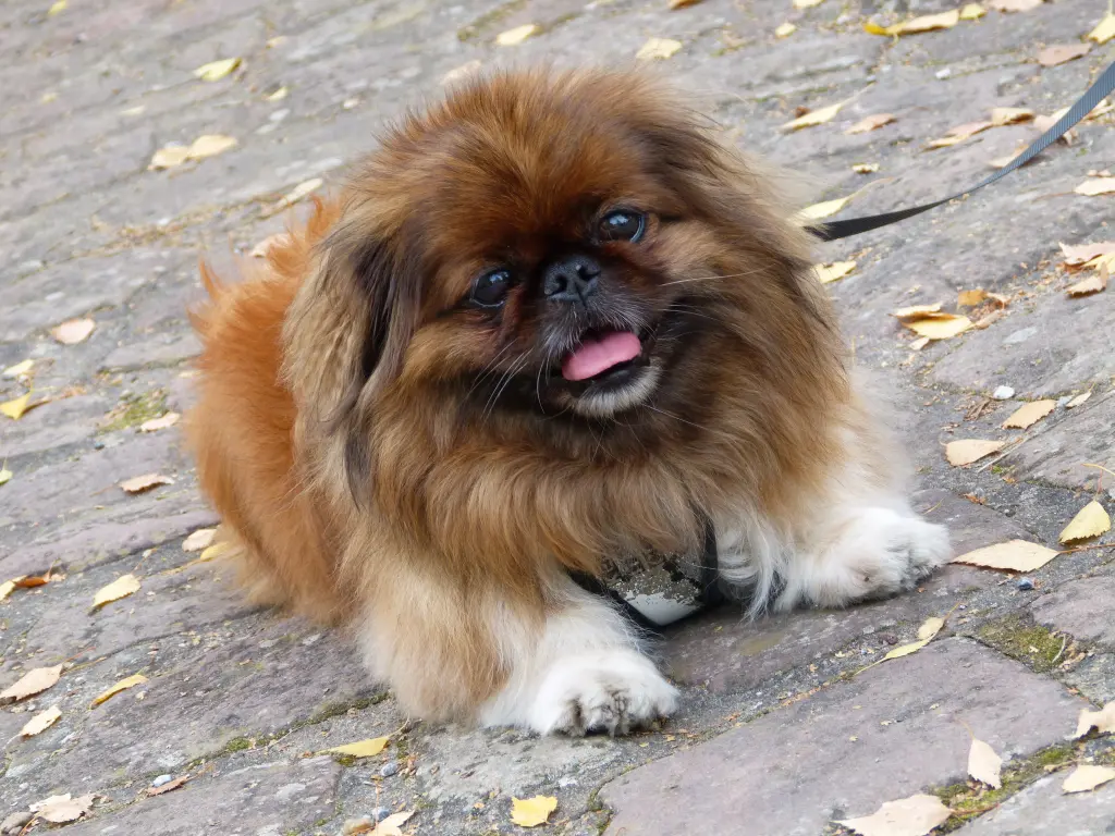 Andachtsbild von Marion Linden