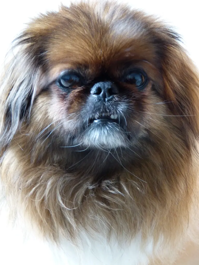 Andachtsbild von Marion Linden