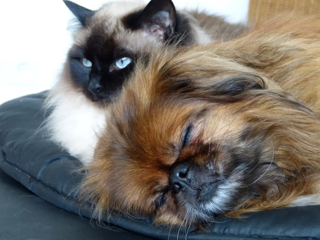 Andachtsbild von Marion Linden