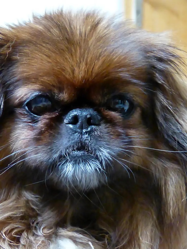 Andachtsbild von Marion Linden