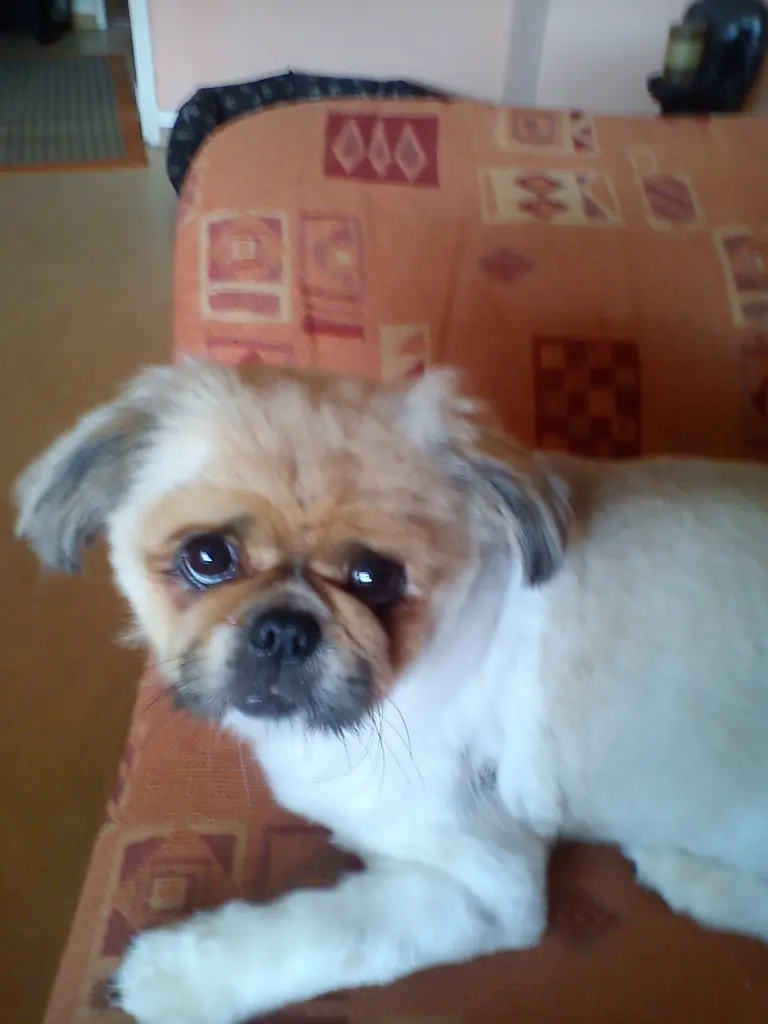 Image from Anton