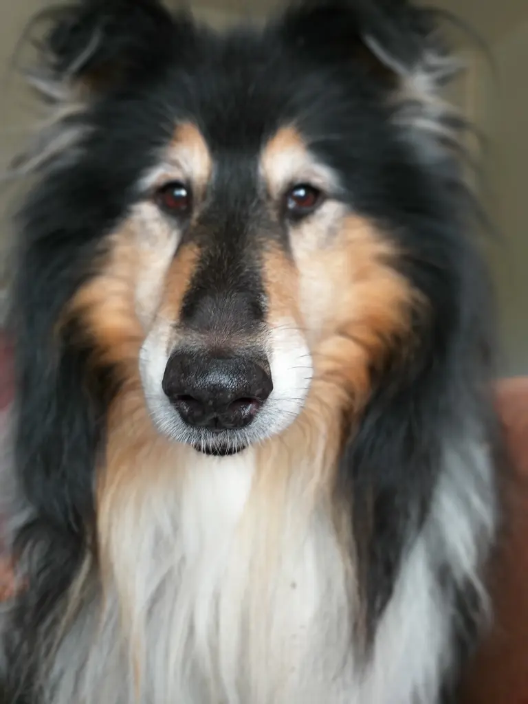 Andachtsbild von Karin mit Collin tief im Herzen