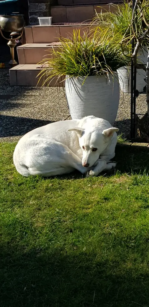 Andachtsbild von Eva und Sunny