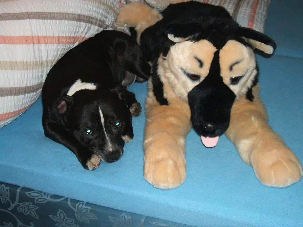 Andachtsbild von Suzanna