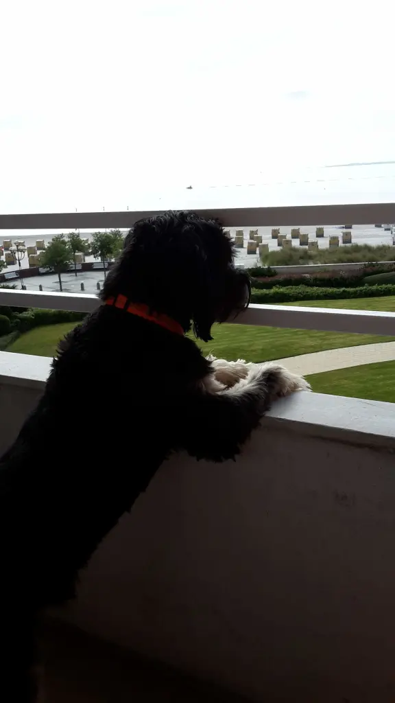 Image from Max