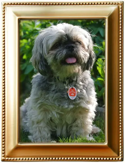 Andachtsbild von Kathrin mit Susi im Herzen