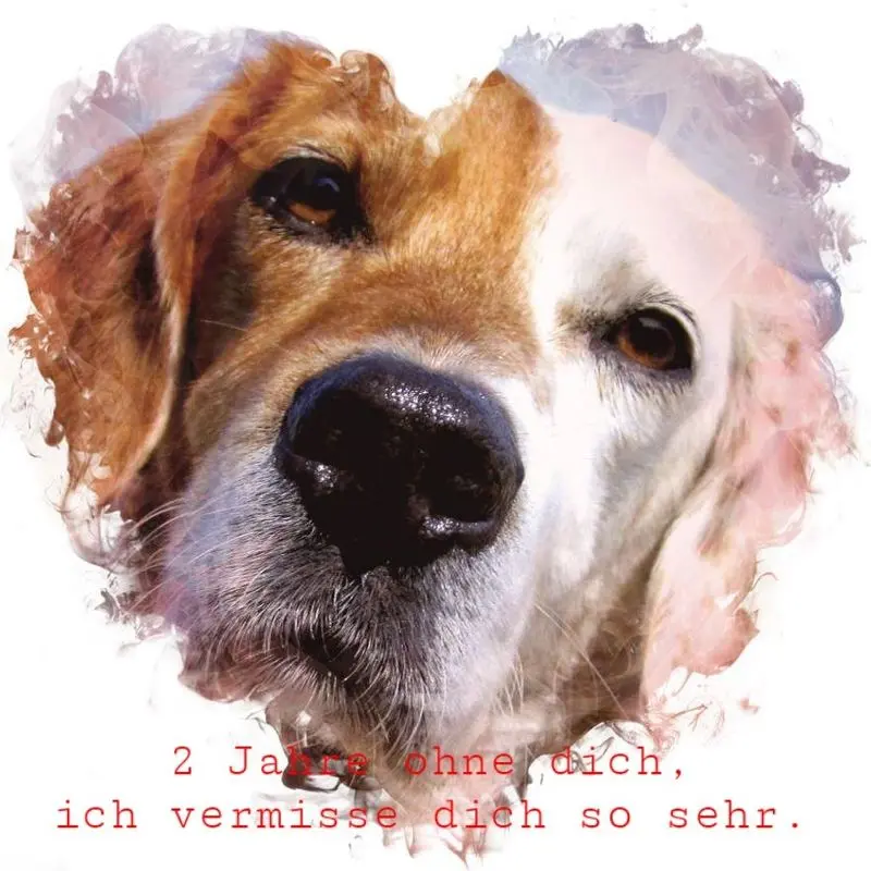 Andachtsbild von Andrea