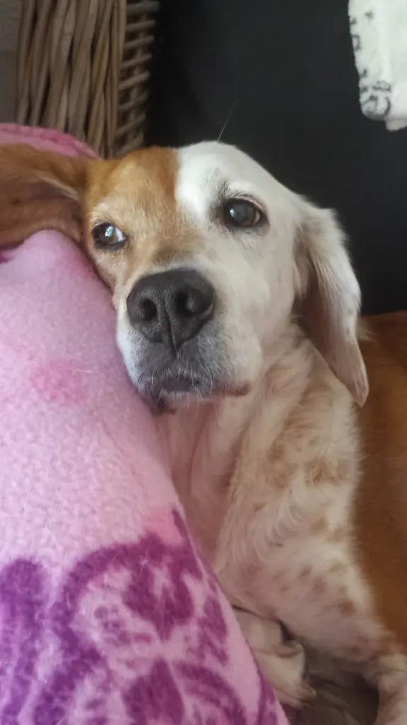 Andachtsbild von Andrea 