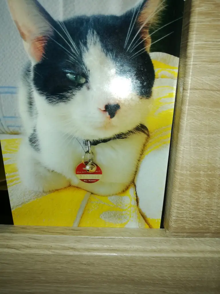 Condolence image of Heike