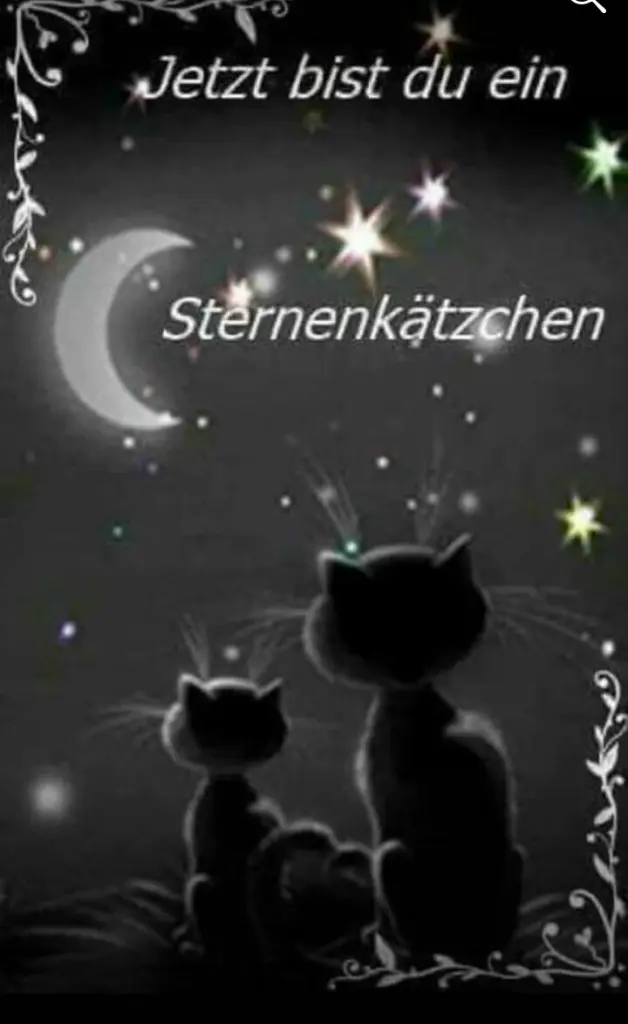 Image from Amylee und Angel