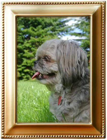 Andachtsbild von Kathrin mit Susi im Herzen