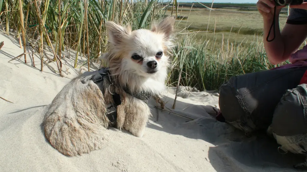Condolence image of Für Shelly!