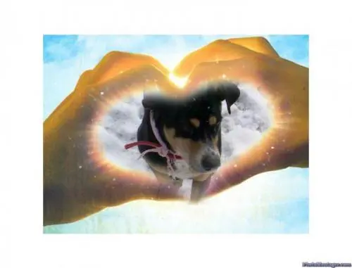Image from Sally