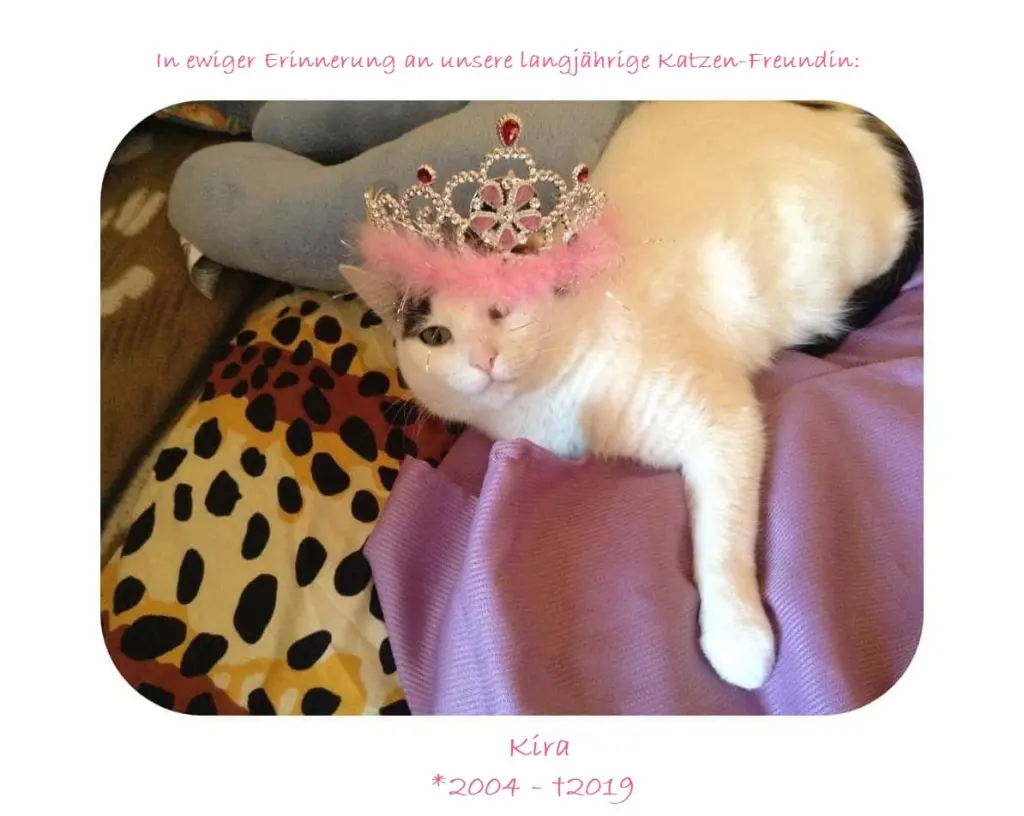 Image from Kira