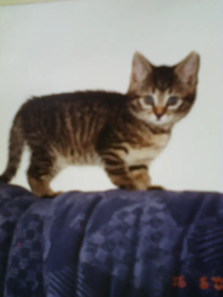 Image from Minki