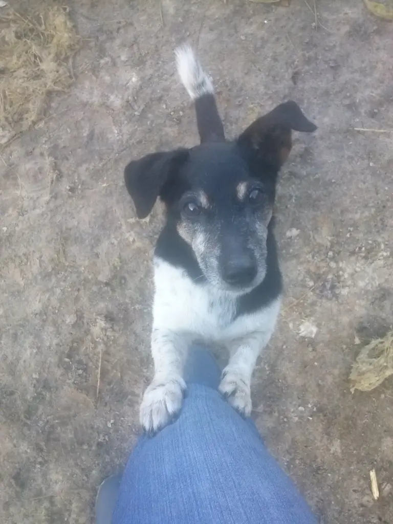 Image from Tequilla