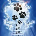 Condolence image of Gisela