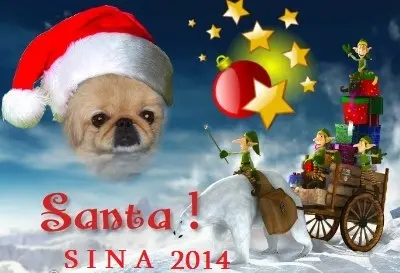 Image from Meine geliebte Sina