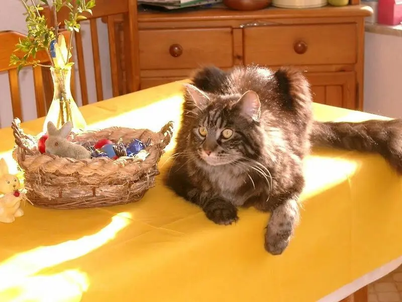Condolence image of Gisela