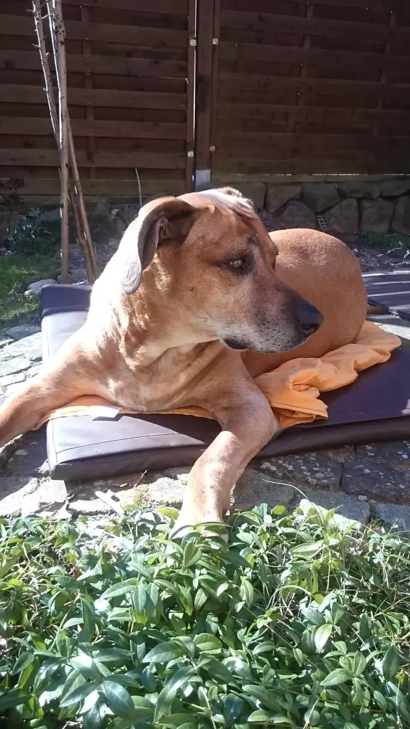 Condolence image of Bettina