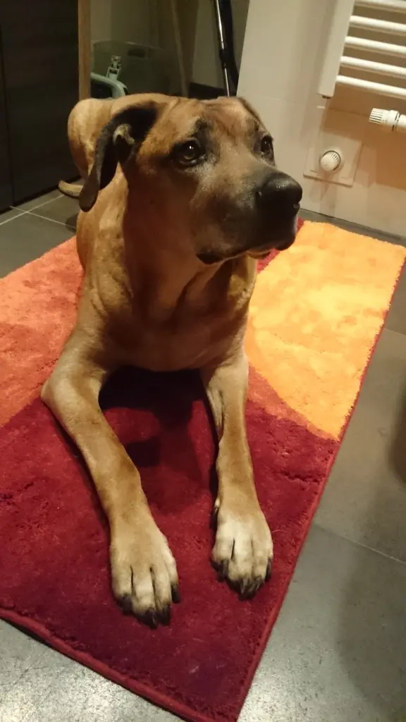 Condolence image of Bettina