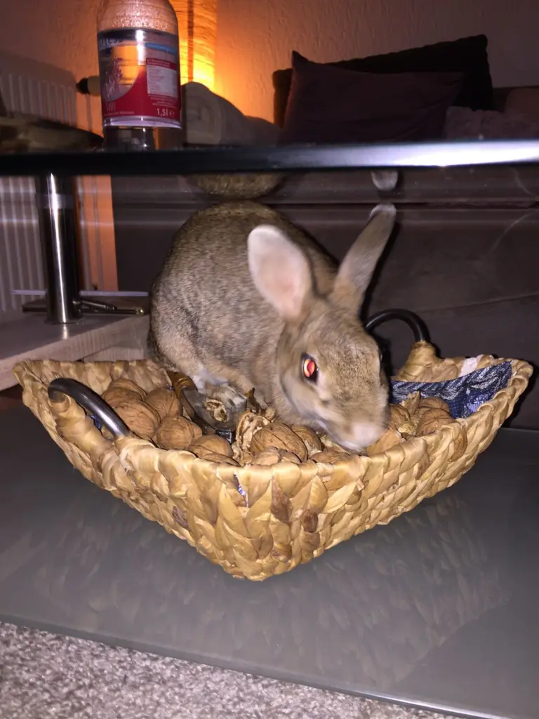 Image from Peanut