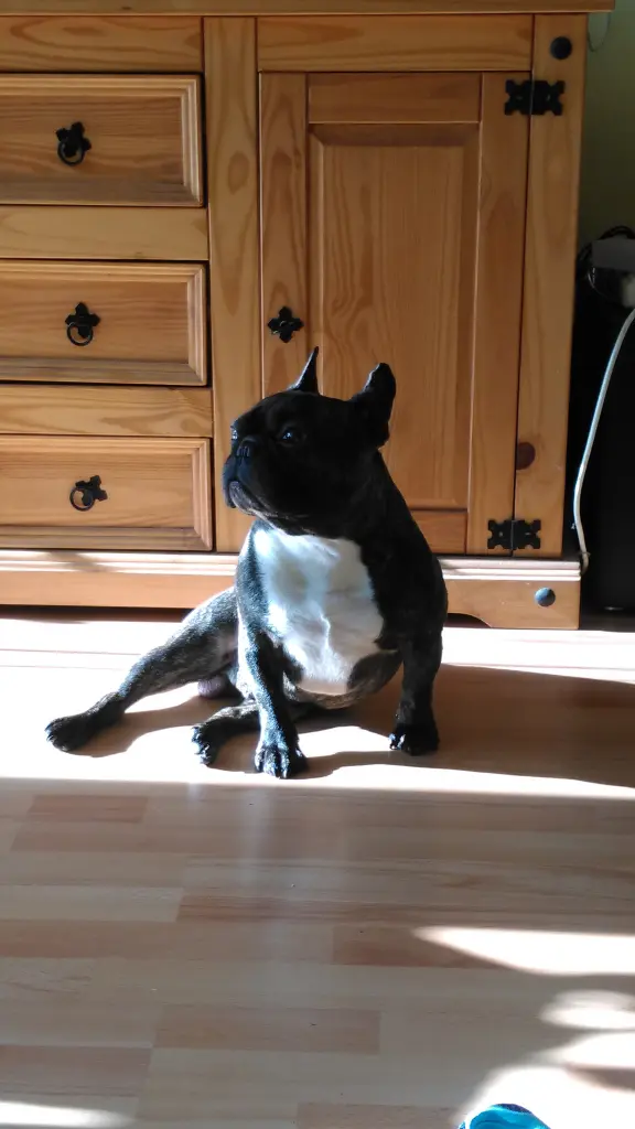 Image from Kobold