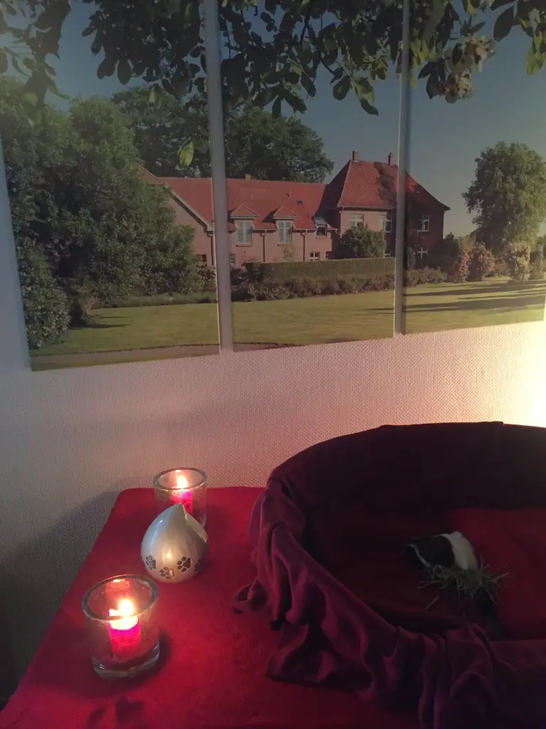 Condolence image of Lena 