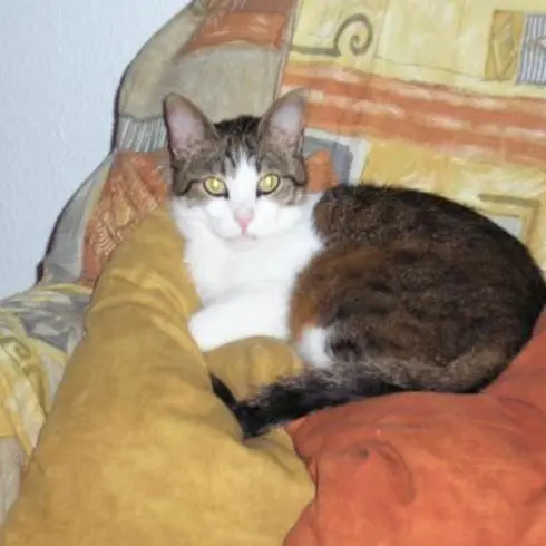 Condolence image of Sonja und Dirk 