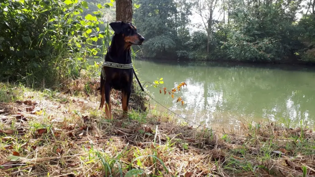 Condolence image of Martina ( Brisco)