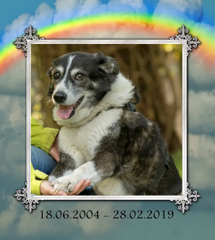 Condolence image of Karin