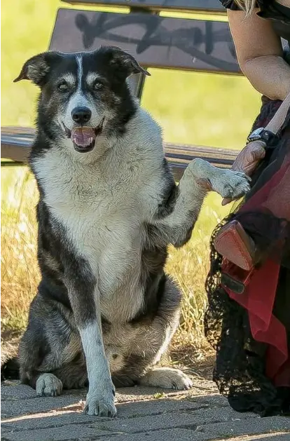 Image from Devil