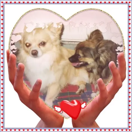 Image from Chiccio & Aaron