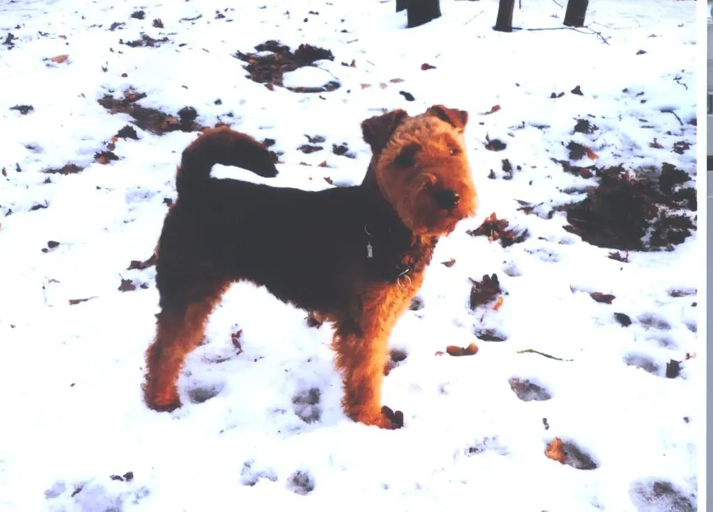 Image from Julchen