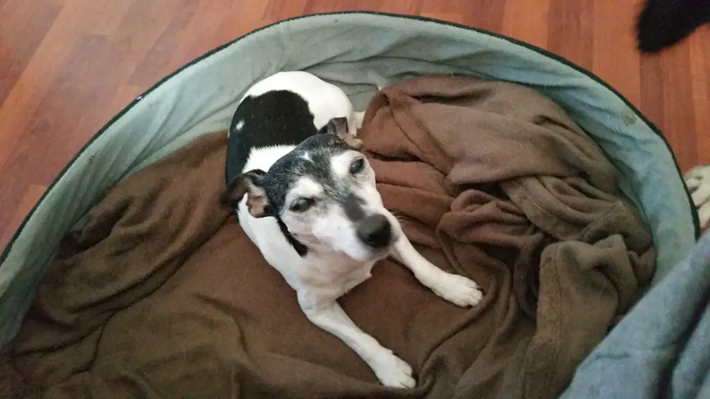 Image from Tapsi