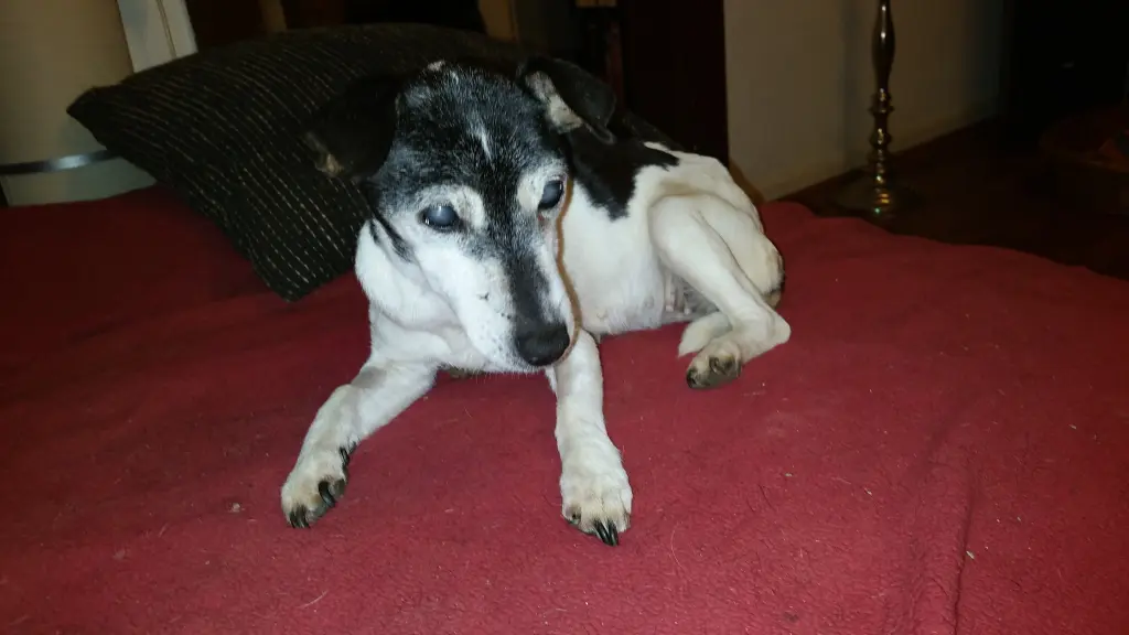 Image from Tapsi