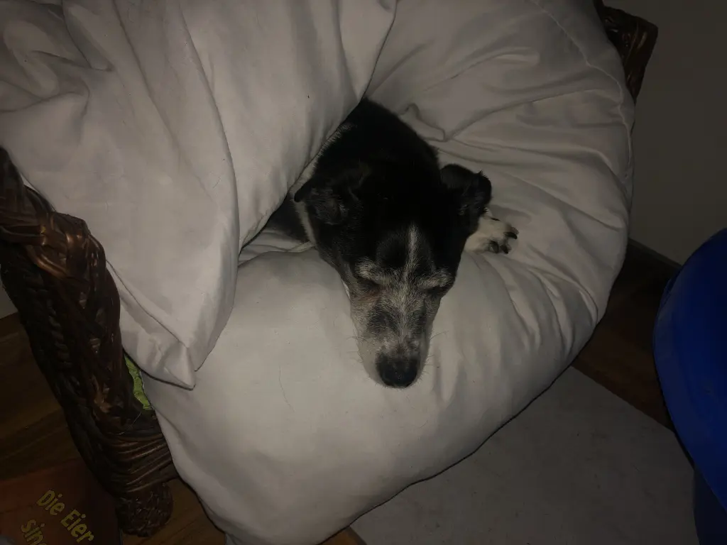 Image from Spike
