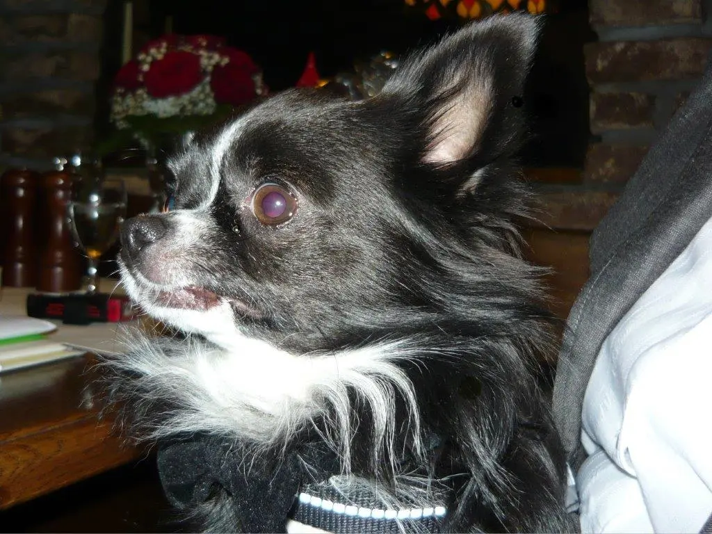 Condolence image of Marion