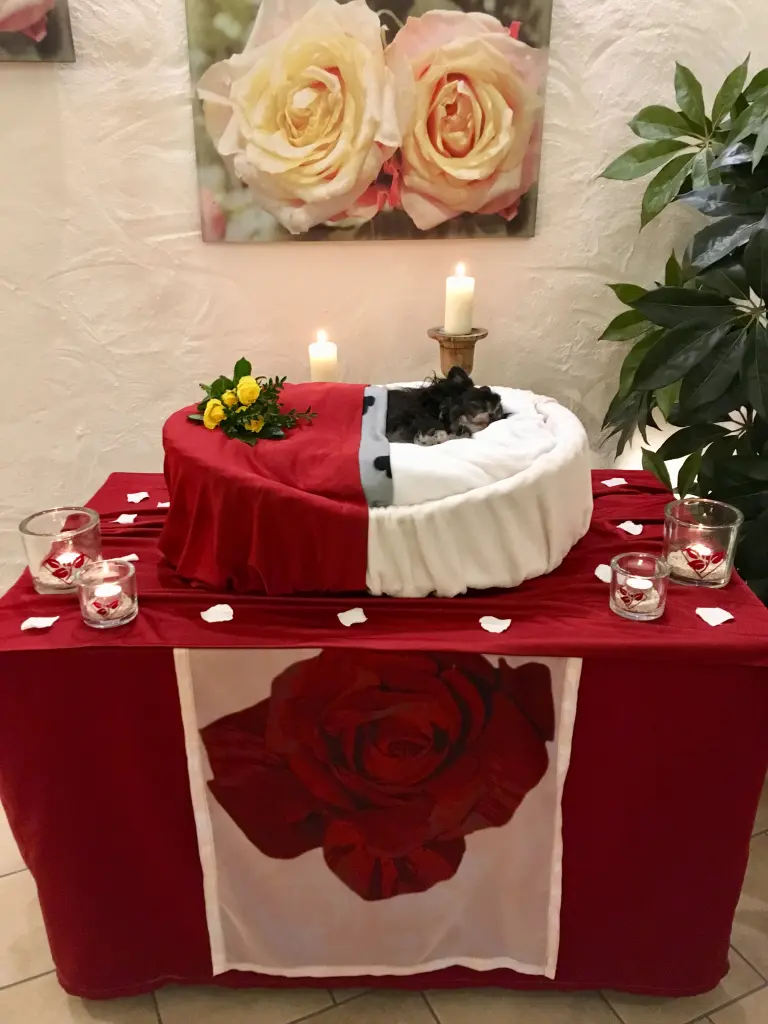 Condolence image of Marion