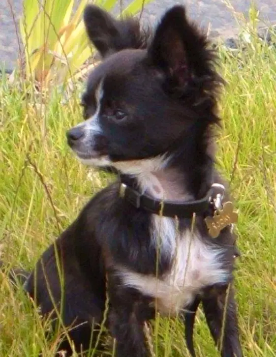 Condolence image of Marion