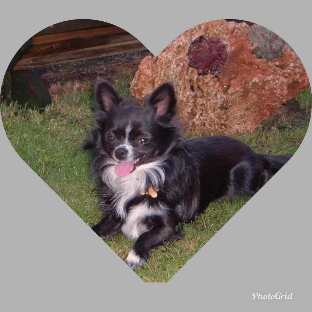 Condolence image of Marion