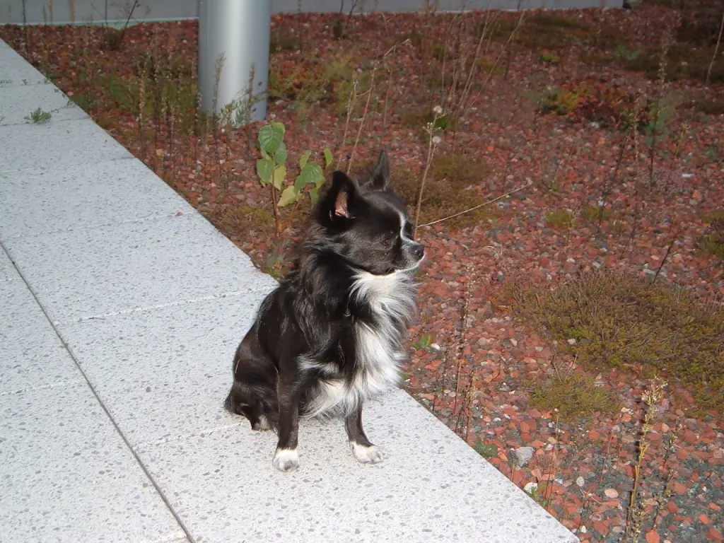 Condolence image of Marion