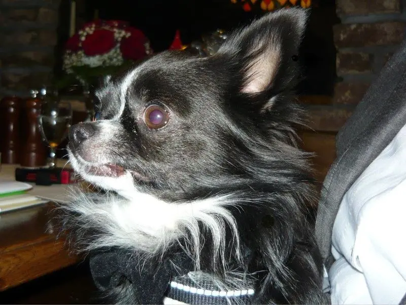 Condolence image of Marion