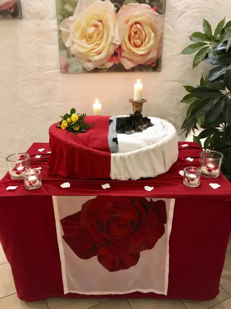 Condolence image of Marion